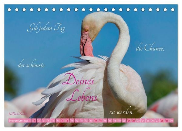 Produktbild: The Power Of Pink (Tischkalender 2026 DIN A5 quer), CALVENDO Monatskalender