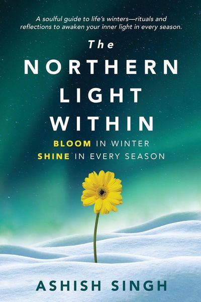 Produktbild: The Northern Light Within