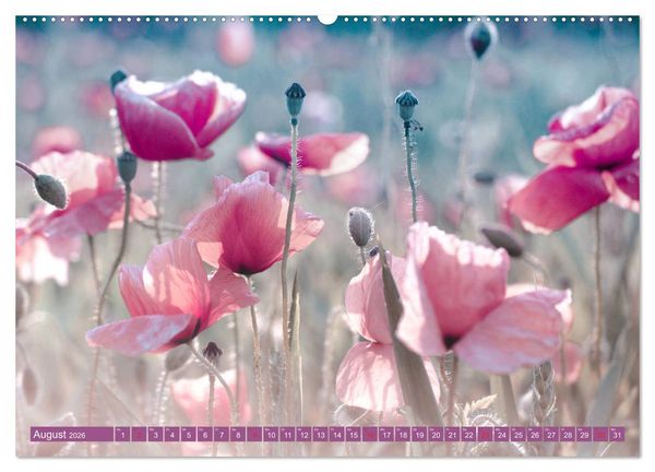 Produktbild: Mohnblumen - Fotografie mit Magie (Wandkalender 2026 DIN A2 quer), CALVENDO Monatskalender