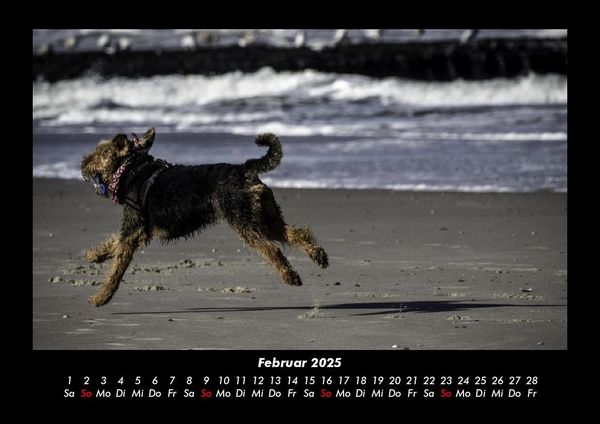 Produktbild: Hundezauber 2025 Fotokalender DIN A3
