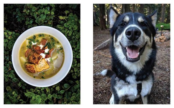 Produktbild: The Great Outdoors Cookbook