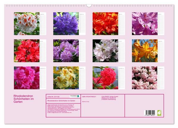 Produktbild: Rhododendron Sch&ouml;nheiten im Garten (Wandkalender 2026 DIN A2 quer), CALVENDO Monatskalender