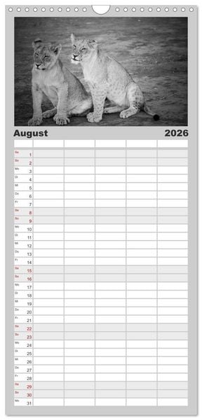 Produktbild: Familienplaner 2026 - L&ouml;wen schwarz wei&szlig; mit 5 Spalten (Wandkalender, 21 x 45 cm) CALVENDO