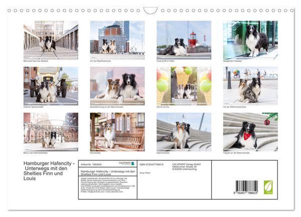 Produktbild: Hamburger Hafencity - Unterwegs mit den Shelties Finn und Louis (Wandkalender 2026 DIN A3 quer), CALVENDO Monatskalender
