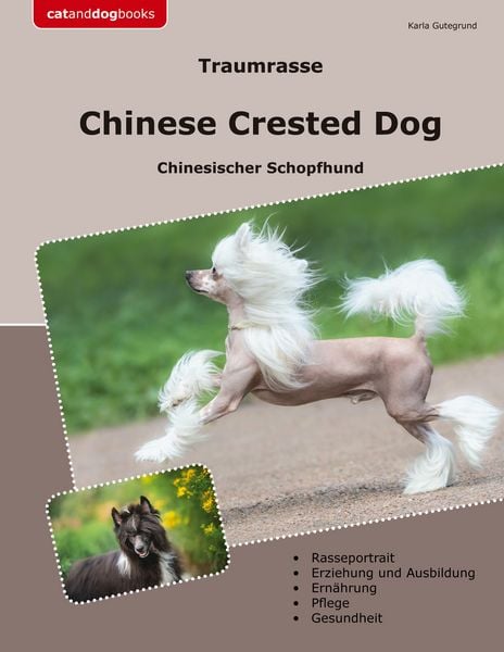 Produktbild: Traumrasse Chinese Crested Dog