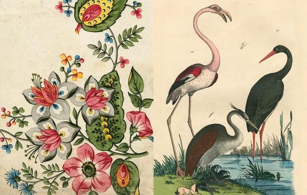 Produktbild: John Derian Picture Book II