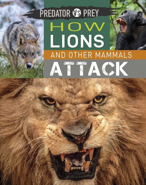 Produktbild: Predator Vs Prey: How Lions and Other Mammals Attack!