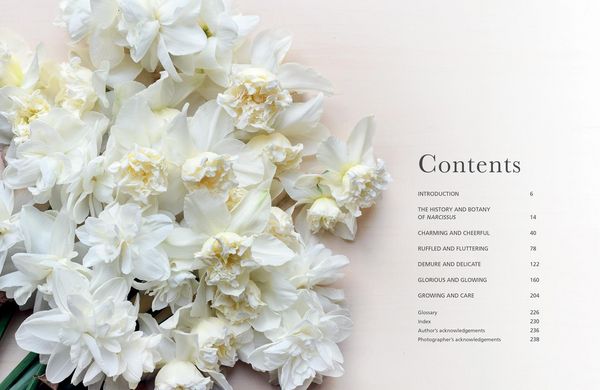 Produktbild: DAFFODILS HB