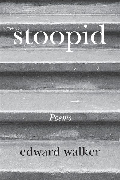 Produktbild: Stoopid