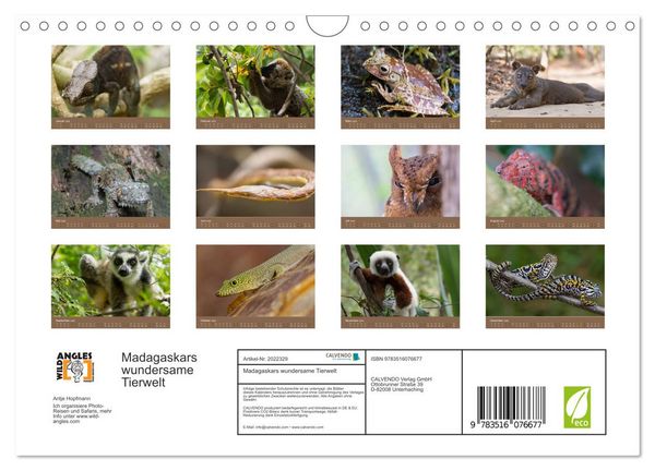 Produktbild: Madagaskars wundersame Tierwelt (Wandkalender 2026 DIN A4 quer), CALVENDO Monatskalender