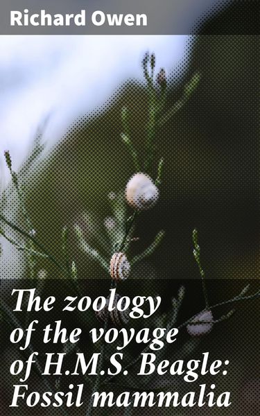 Produktbild: The zoology of the voyage of H.M.S. Beagle: Fossil mammalia