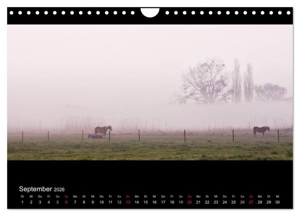 Produktbild: NEBEL (Wandkalender 2026 DIN A4 quer), CALVENDO Monatskalender