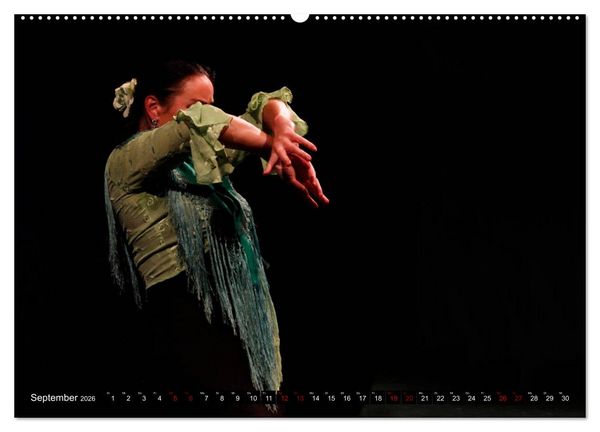 Produktbild: Flamenco. Spanischer Tanz (hochwertiger Premium Wandkalender 2026 DIN A2 quer), Kunstdruck in Hochglanz