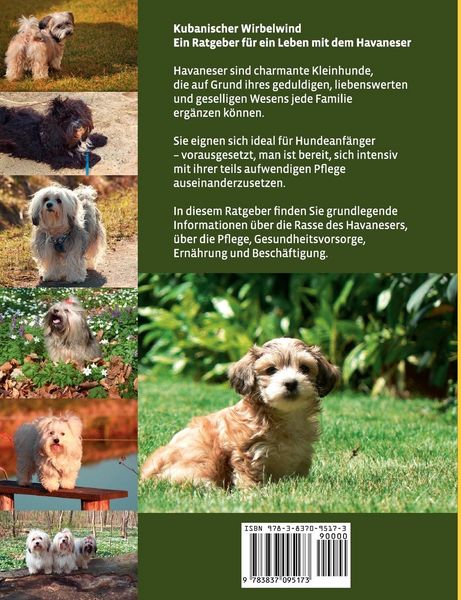 Produktbild: Kubanischer Wirbelwind