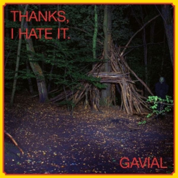Thanks,I Hate it