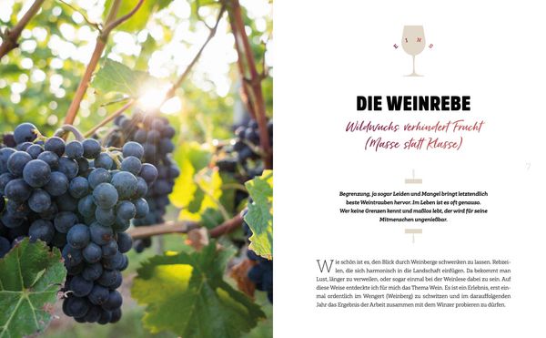 Produktbild: Wein