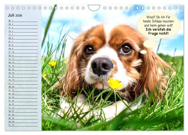 Produktbild: Hurra! Wir gehen Gassi! Abenteuer mit dem Hund! (Wandkalender 2026 DIN A4 quer), CALVENDO Monatskalender