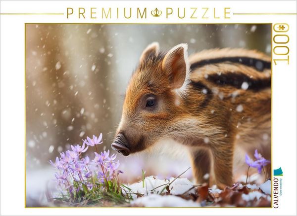 Produktbild: CALVENDO Puzzle Zwischen Tau und Bl&uuml;te erwacht das Leben | 1000 Teile Lege-Gr&ouml;&szlig;e 64x48cm Foto-Puzzle f&uuml;r gl&uuml;ckliche Stunden