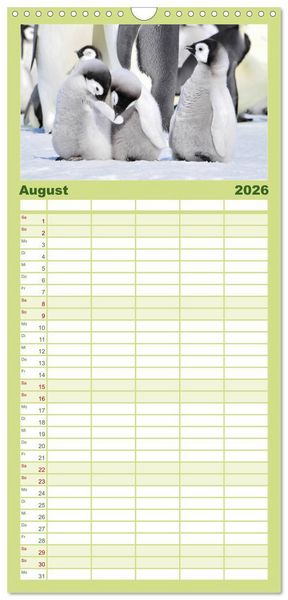 Produktbild: Familienplaner 2026 - Pinguine - Watscheln im festlichen Kleid mit 5 Spalten (Wandkalender, 21 x 45 cm) CALVENDO