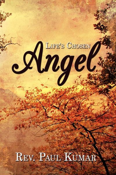 Produktbild: Life's Chosen Angel