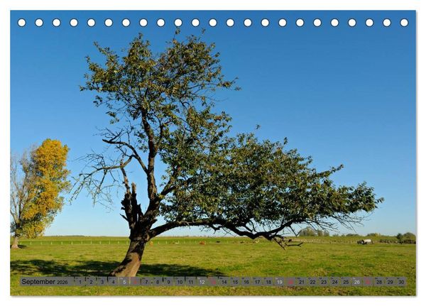 Produktbild: Der Niederrhein im Wandel der Jahreszeiten (Tischkalender 2026 DIN A5 quer), CALVENDO Monatskalender