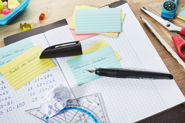Produktbild: STABILO F&uuml;ller EASYbuddy Twilight Sky, M