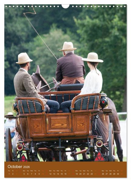 Produktbild: Carriage Driving - Horses in Action (Wall Calendar 2026 DIN A3 portrait), CALVENDO 12 Month Wall Calendar