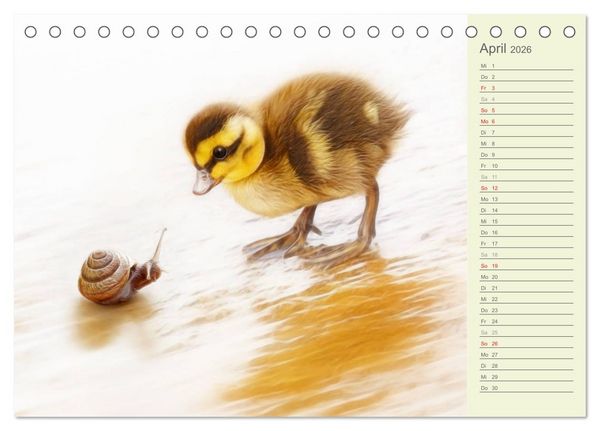 Produktbild: S&uuml;sse Tierwelt / CH-Version / Geburtstagskalender (Tischkalender 2026 DIN A5 quer), CALVENDO Monatskalender
