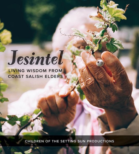 Produktbild: Jesintel