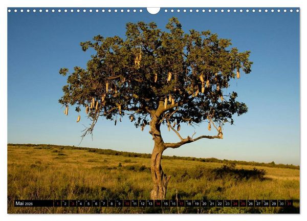 Produktbild: Kenia einmal anders (Wandkalender 2026 DIN A3 quer), CALVENDO Monatskalender