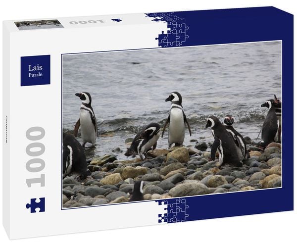 Produktbild: Lais Puzzle Pinguine 1000 Teile