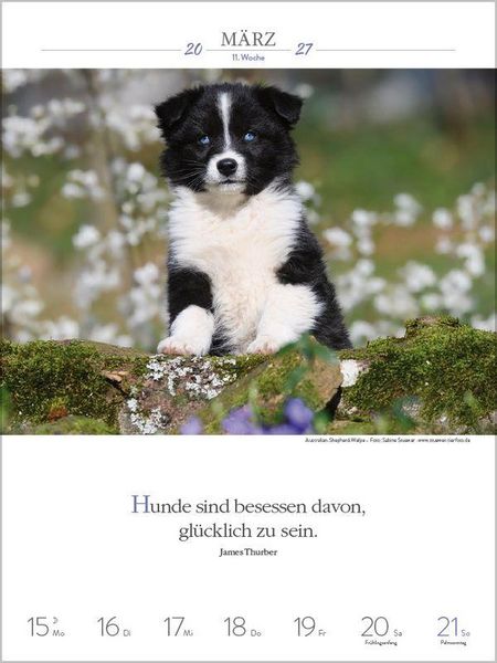 Produktbild: Literaturkalender Hunde 2027