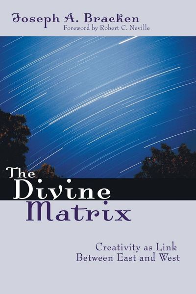 Produktbild: The Divine Matrix