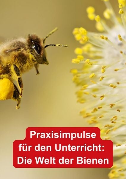 Produktbild: Themenheft Unsere Bienen