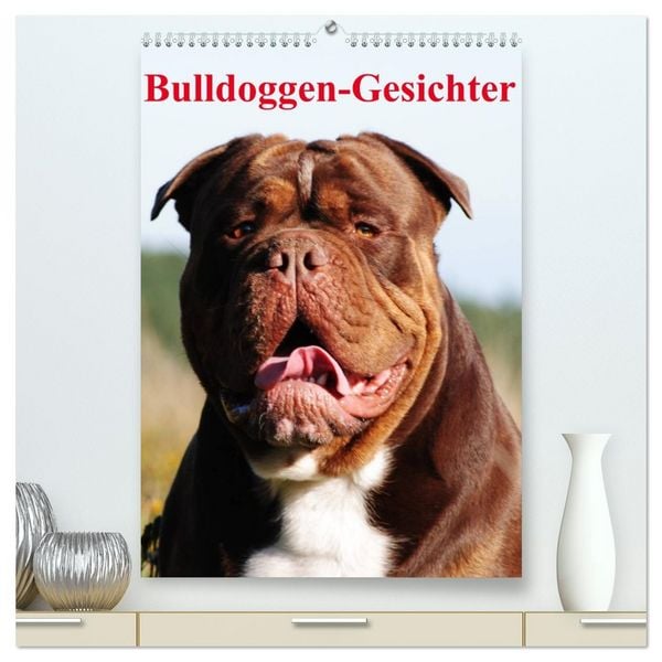 Produktbild: Bulldoggen-Gesichter (hochwertiger Premium Wandkalender 2026 DIN A2 hoch), Kunstdruck in Hochglanz