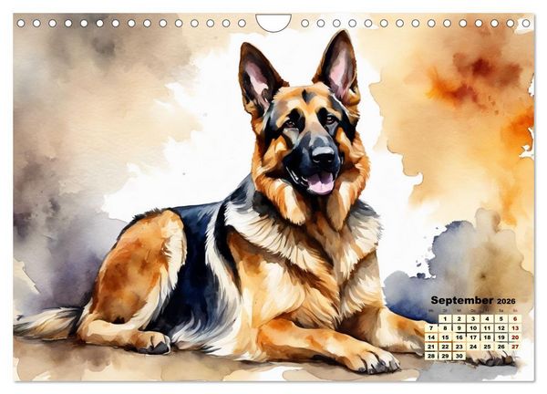 Produktbild: Deutsche Sch&auml;ferhunde - Klassiker rund um den Globus (Wandkalender 2026 DIN A4 quer), CALVENDO Monatskalender