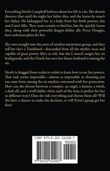 Produktbild: True North