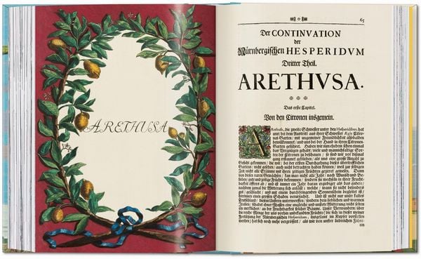 Produktbild: J. C. Volkamer. The Book of Citrus Fruits. 45th Ed.
