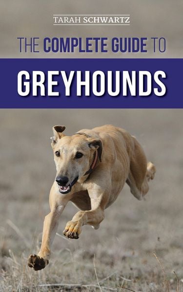 Produktbild: The Complete Guide to Greyhounds