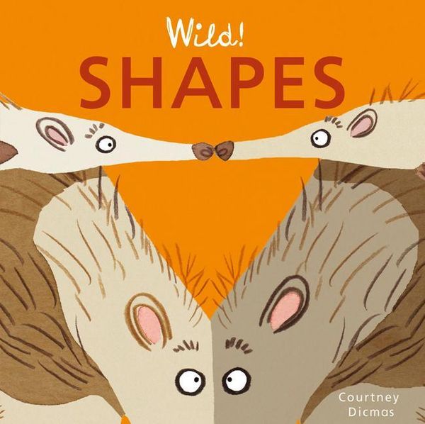 Produktbild: Shapes