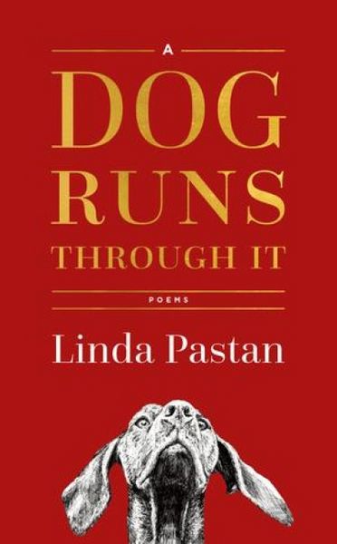 Produktbild: A Dog Runs Through It