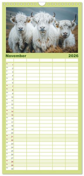 Produktbild: Familienplaner 2026 - Schottische Hochland Rinder mit 5 Spalten (Wandkalender, 21 x 45 cm) CALVENDO