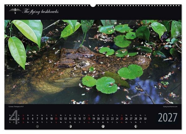 Produktbild: Costa Rica Blickwinkel 2027 (Wandkalender 2027 DIN A2 quer), CALVENDO Monatskalender