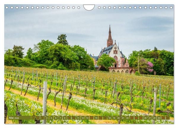 Produktbild: Rheinhessen-Impressionen (Wandkalender 2026 DIN A4 quer), CALVENDO Monatskalender