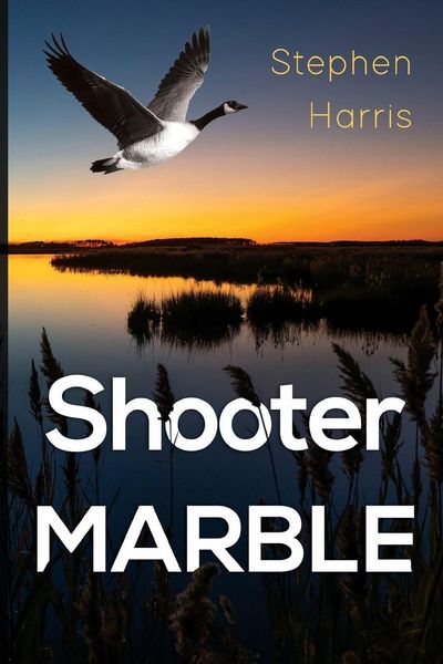 Produktbild: Shooter Marble