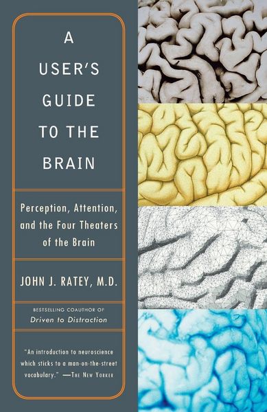 Produktbild: A User's Guide to the Brain