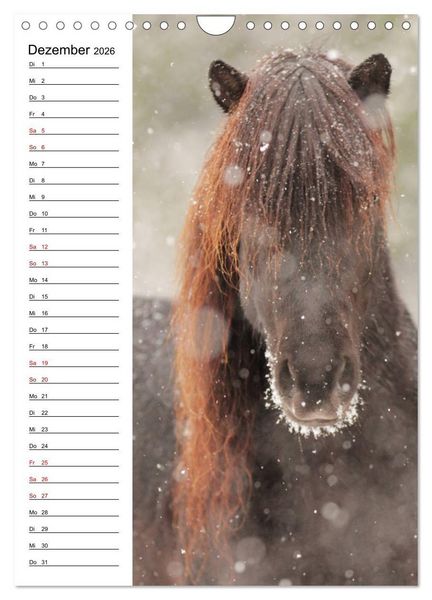 Produktbild: Isl&auml;nder im Portrait (Wandkalender 2026 DIN A4 hoch), CALVENDO Monatskalender