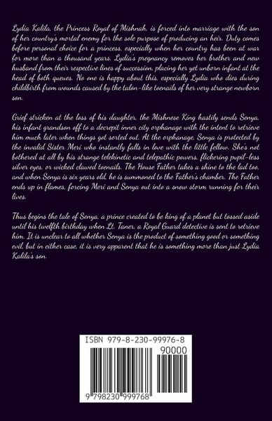 Produktbild: The Boy who Lit up the Sky