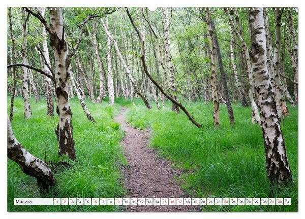 Produktbild: Amrum. Natur und Landschaften (Wandkalender 2027 DIN A2 quer), CALVENDO Monatskalender