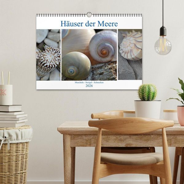 Produktbild: H&auml;user der Meere: Muscheln - Seeigel - Schnecken (Wandkalender 2026 DIN A3 quer), CALVENDO Monatskalender
